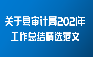 关于县审计局2021年工作总结精选范文