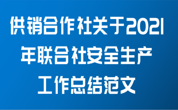 供销合作社关于2021年联合社安全生产工作总结范文