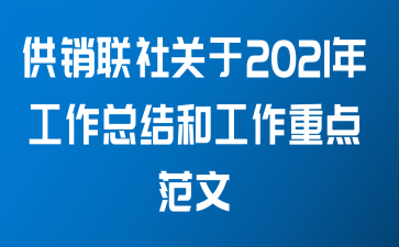 供销联社关于2021年工作总结和工作重点范文