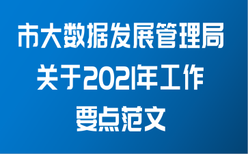 市大数据发展管理局关于2021年工作要点范文