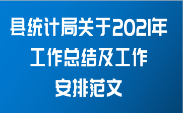 县统计局关于2021年工作总结及工作安排范文