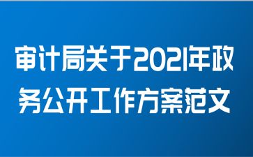 审计局关于2021年政务公开工作方案范文
