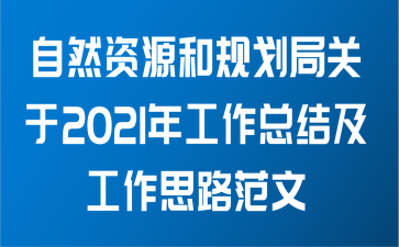 自然资源和规划局关于2021年工作总结及工作思路范文