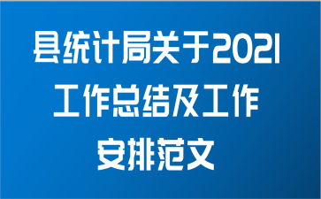 县统计局关于2021工作总结及工作安排范文