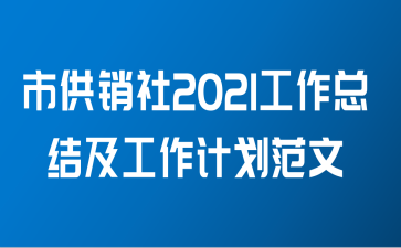 市供销社2021工作总结及工作计划范文